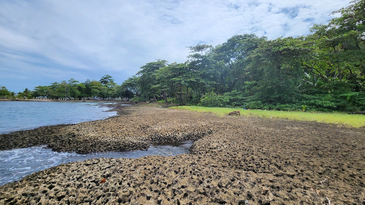 Lote en Limón centro frente al mar para desarrollo: Hotelero o Apartamentos en Limón, Limón miniatura 5