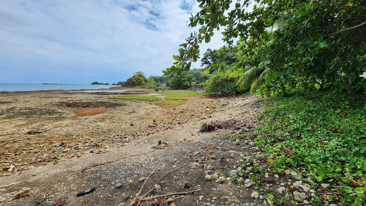 Lote 5,596 m2 en Limón centro frente al mar para desarrollo: Hotelero o Apartamentos en Limón, Limón miniatura 5
