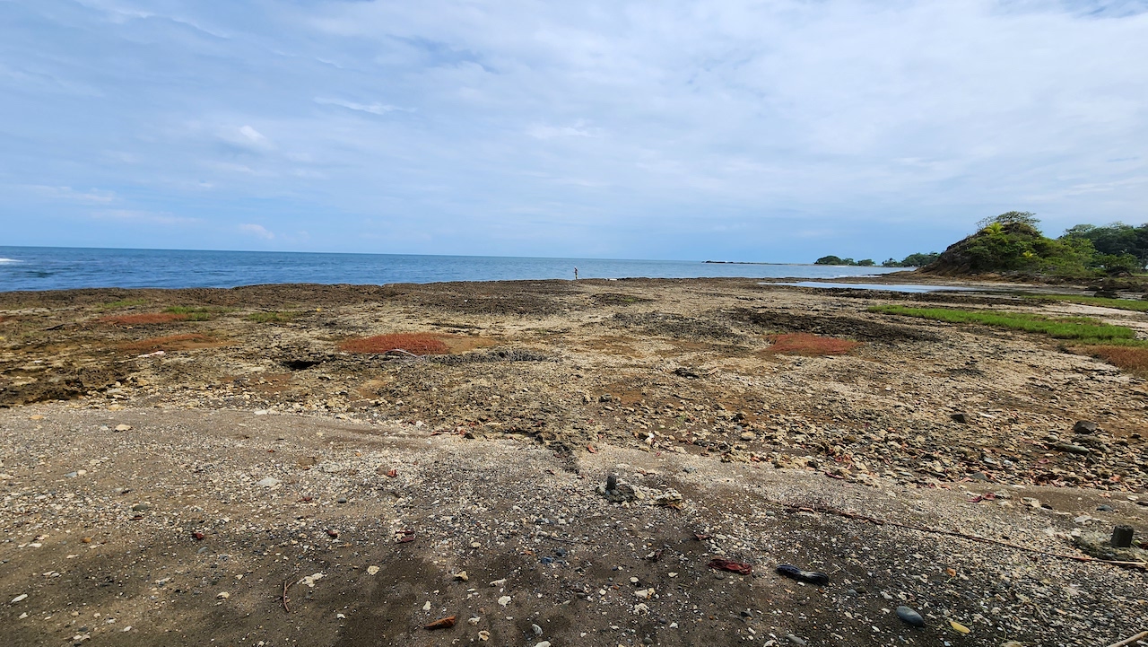 Lote 5,596 m2 en Limón centro frente al mar para desarrollo: Hotelero o Apartamentos en Limón, Limón miniatura 7