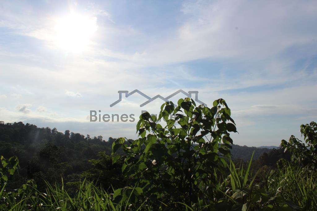 Excelente propiedad en Bananito Sur con vista al mar! en Limón, Limón miniatura 9