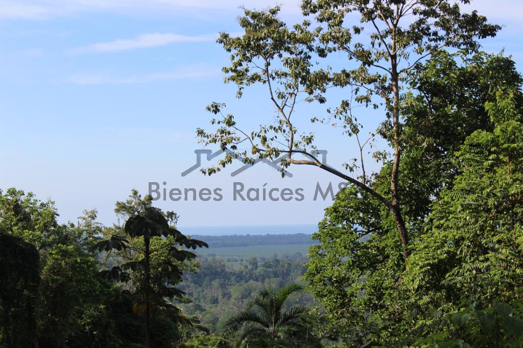 Excelente propiedad en Bananito Sur con vista al mar! en Limón, Limón miniatura 11