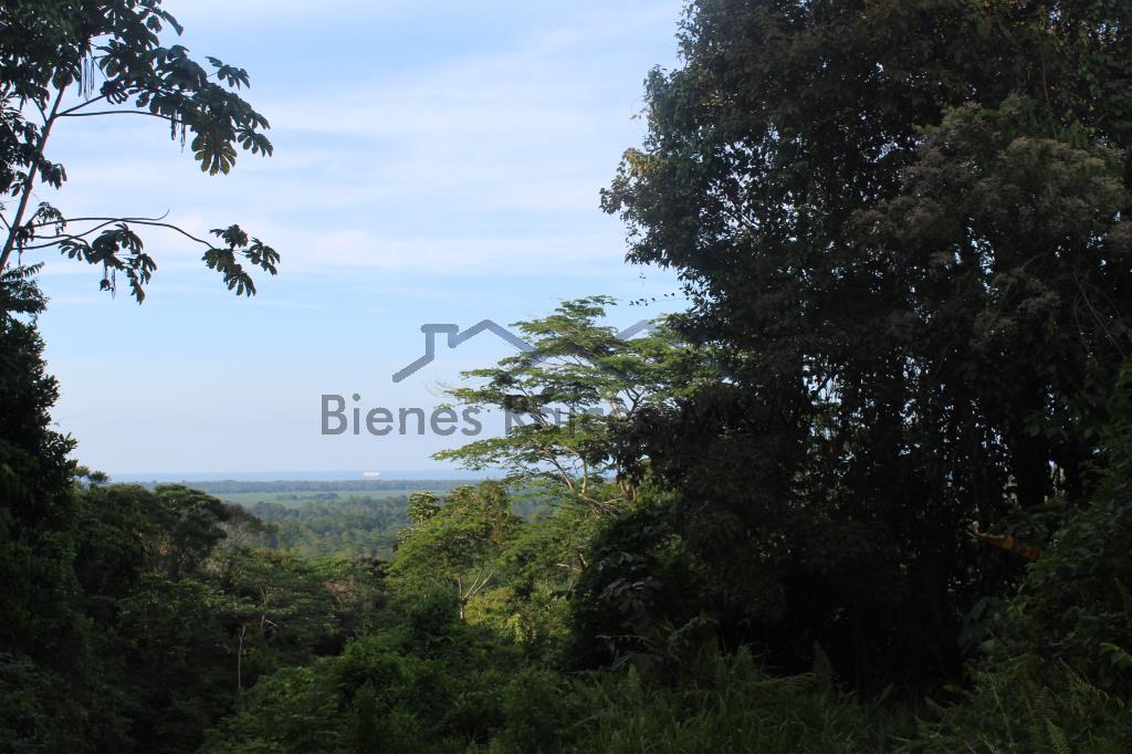 Excelente propiedad en Bananito Sur con vista al mar! en Limón, Limón miniatura 20
